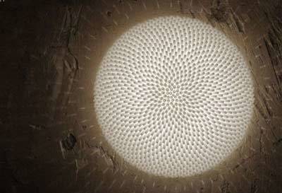 FOC推出全新科技照明與通信融合產品系列